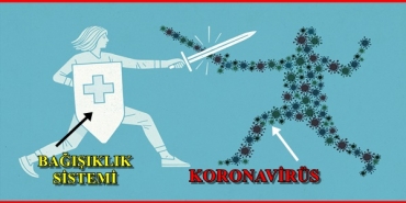 koronavirus-ile-savasmada-tesirli-yol-bagisiklik-sistemimizi-guclendirmek-icin-ne-yapmaliyiz-NPf3iXUO.jpg