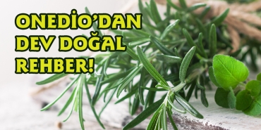 tabiatin-mucizevi-yararlarindan-yararlanin-iste-onediodan-dev-dogal-rehber-d85gVmAe.jpg